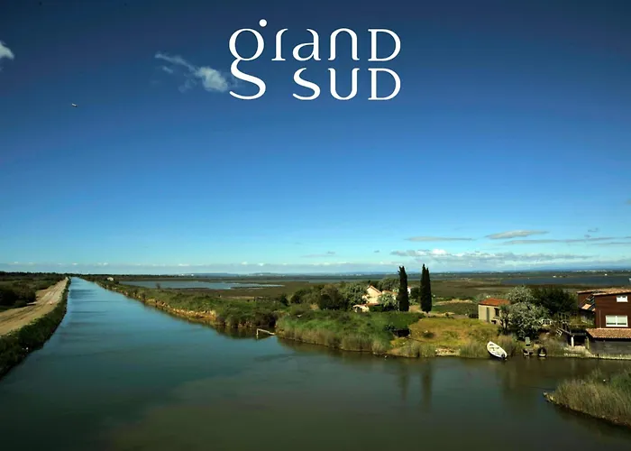 Les Palmiers - Appartement Une Chambre Vue Canal